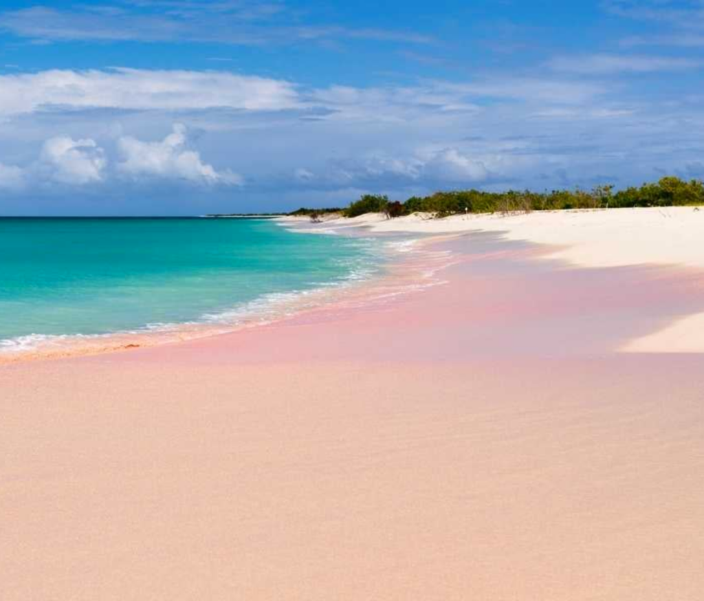 Located in one of the top Caribbean yacht charter destinations, you'll find a breathtaking beach boasting pink sand and shimmering turquoise water.